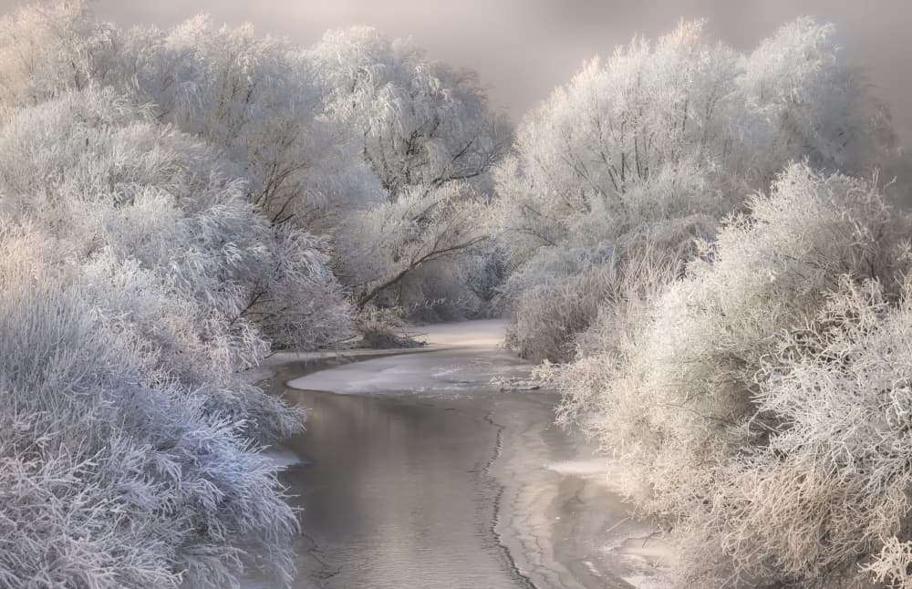 Serene Winter River by Sebestyen Bela — canvas wall art