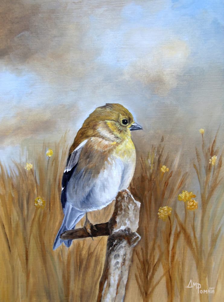 Autumn Finch Perch by Angeles M. Pomata — canvas wall art