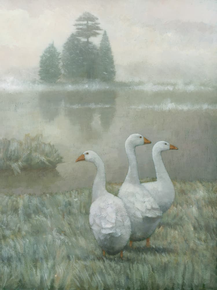 White Geese Morning Mist by Steve Mitchell — canvas wall art