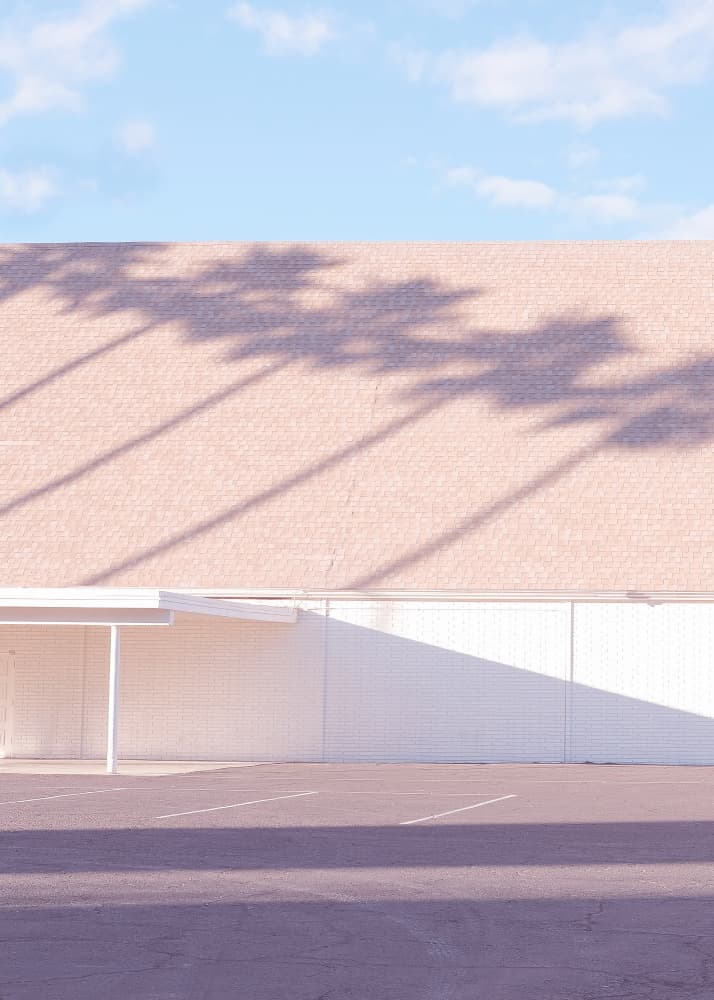 Sunny Palm Shadows by Old Artists Studio III — canvas wall art