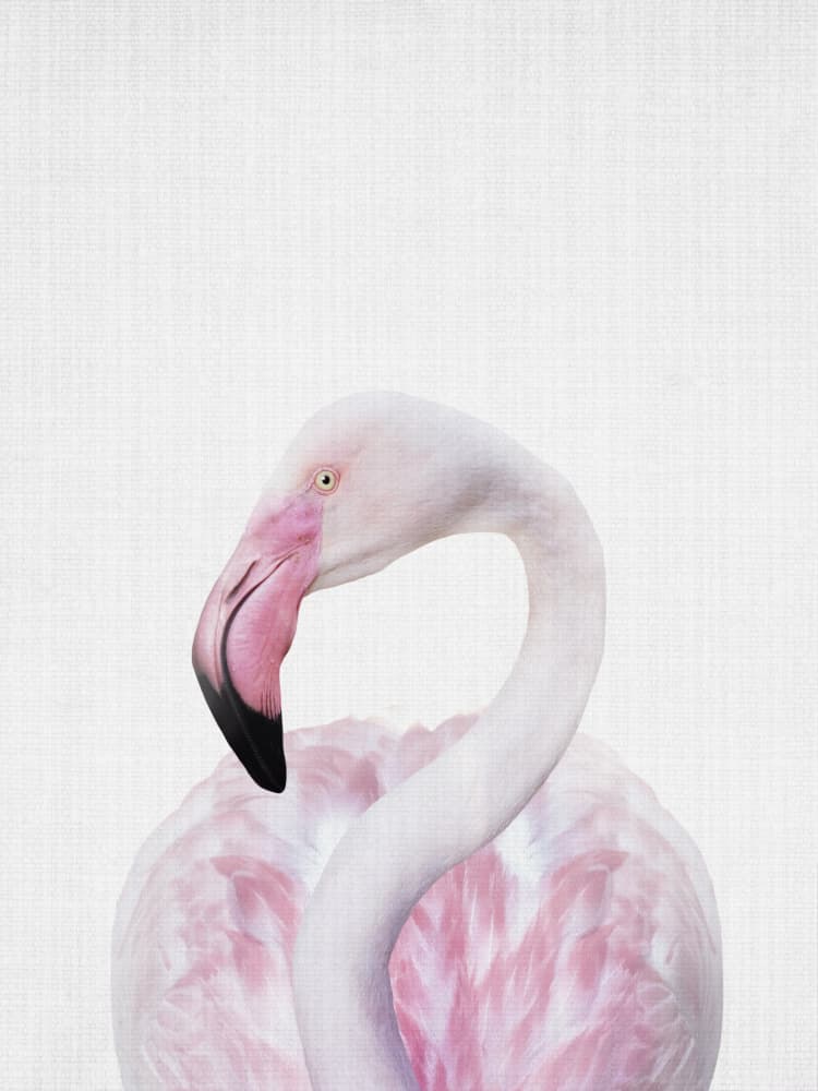 Elegant Pink Flamingo by Lila &amp; Lola — canvas wall art
