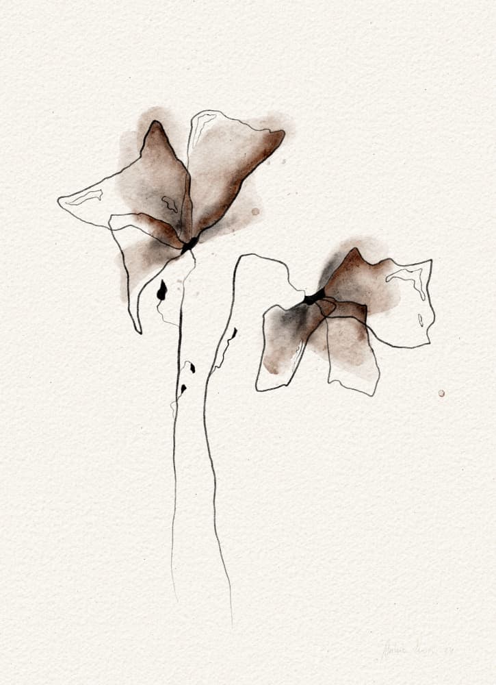 Watercolor Botanical Blooms by Ankie Kooi — canvas wall art