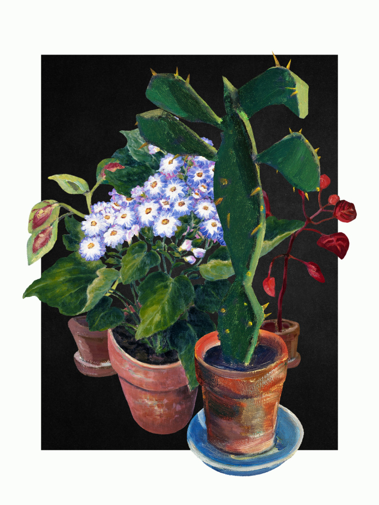 Vibrant Potted Plants by Marja van den Hurk — canvas wall art