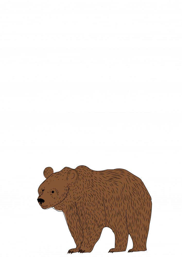 Wild Brown Bear by Nicholas — canvas wall art
