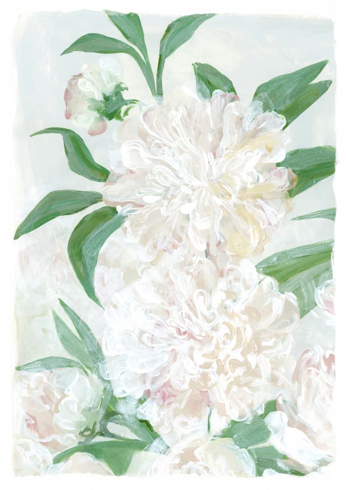 Fresh White Peonies by Rosana Laiz Blursbyai — canvas wall art