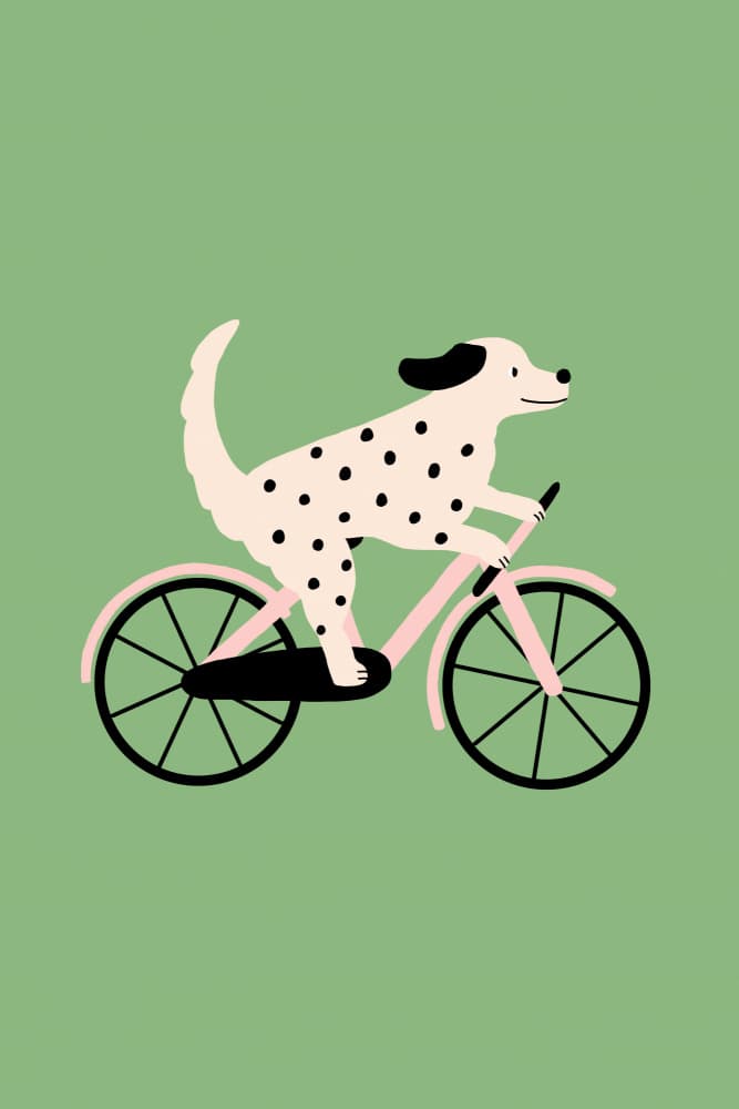 Dalmatian On A Bike by Maren Gross — canvas wall art