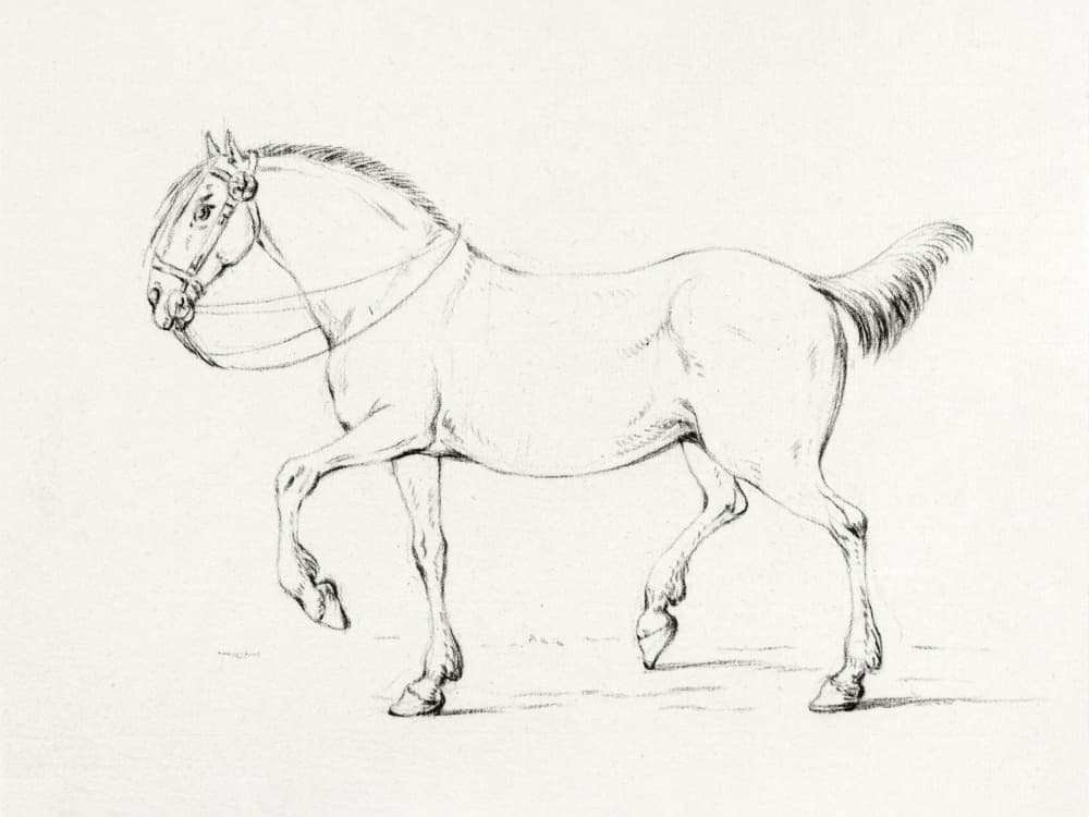 Stepping Horse (1775–1833) by Jean Bernard — canvas wall art