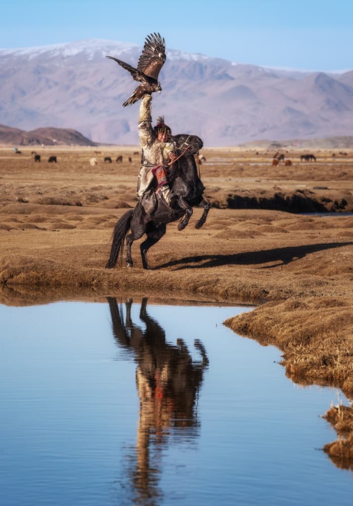 Golden Eagle Hunter Reflection by Antoni Figueras — canvas wall art