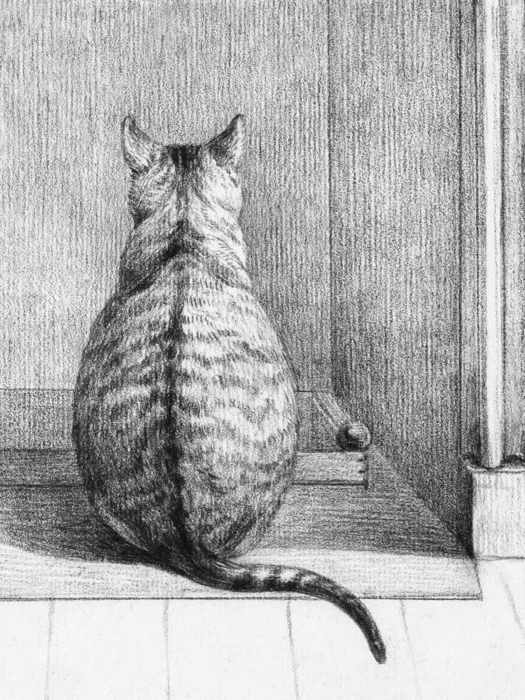 Sitting Cat, From Behind (1812) by Jean Bernard — canvas wall art