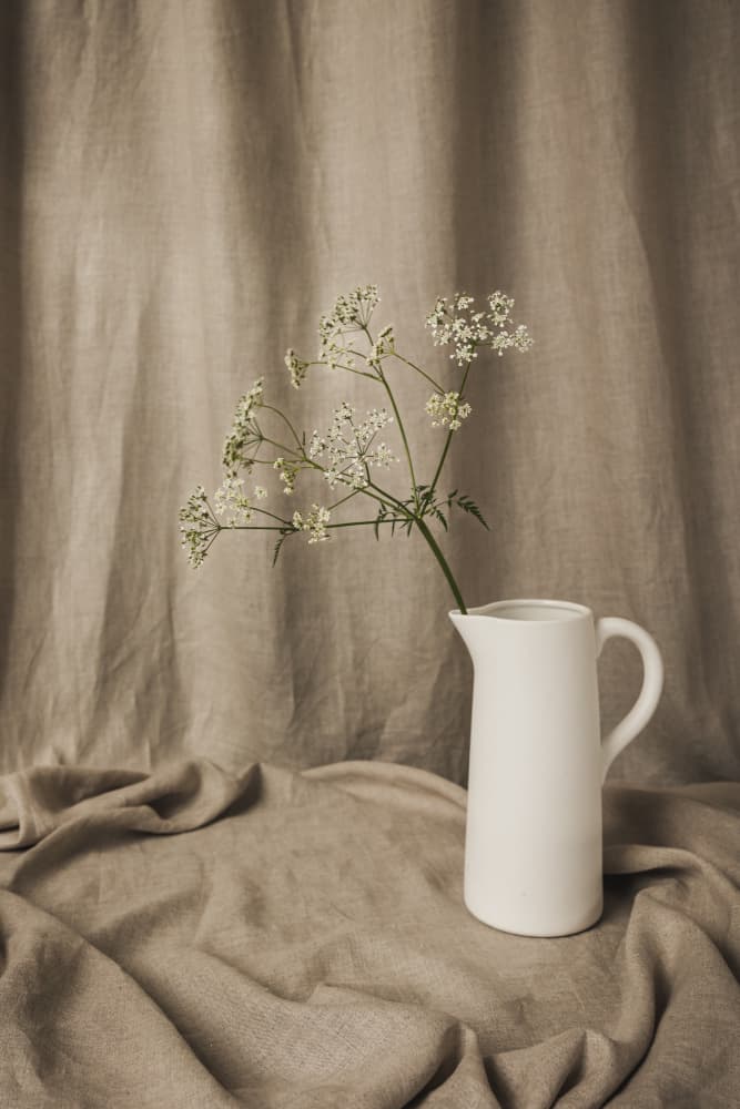 White Flowers Still Life by Mayra Pama — canvas wall art
