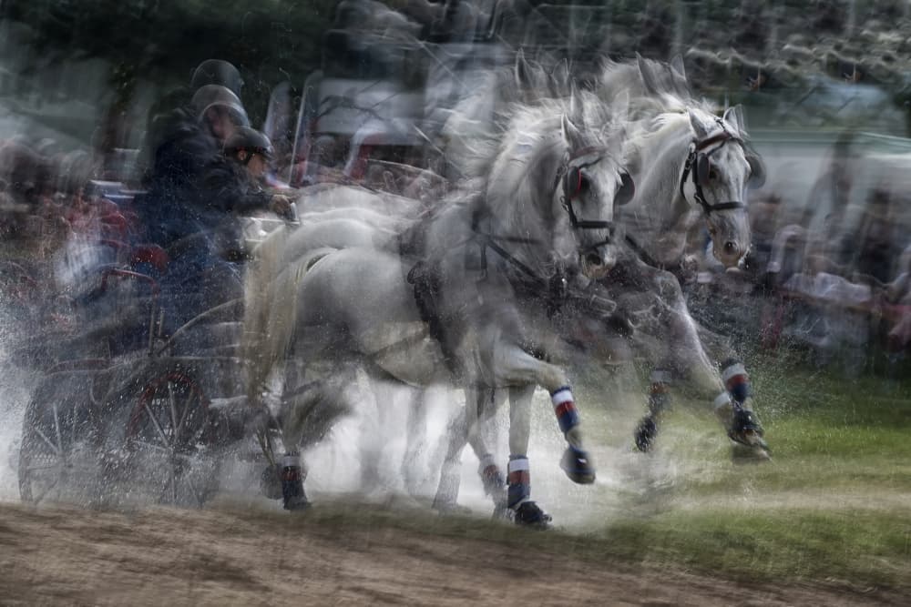 Thundering Hooves Motion by Milan Malovrh — canvas wall art