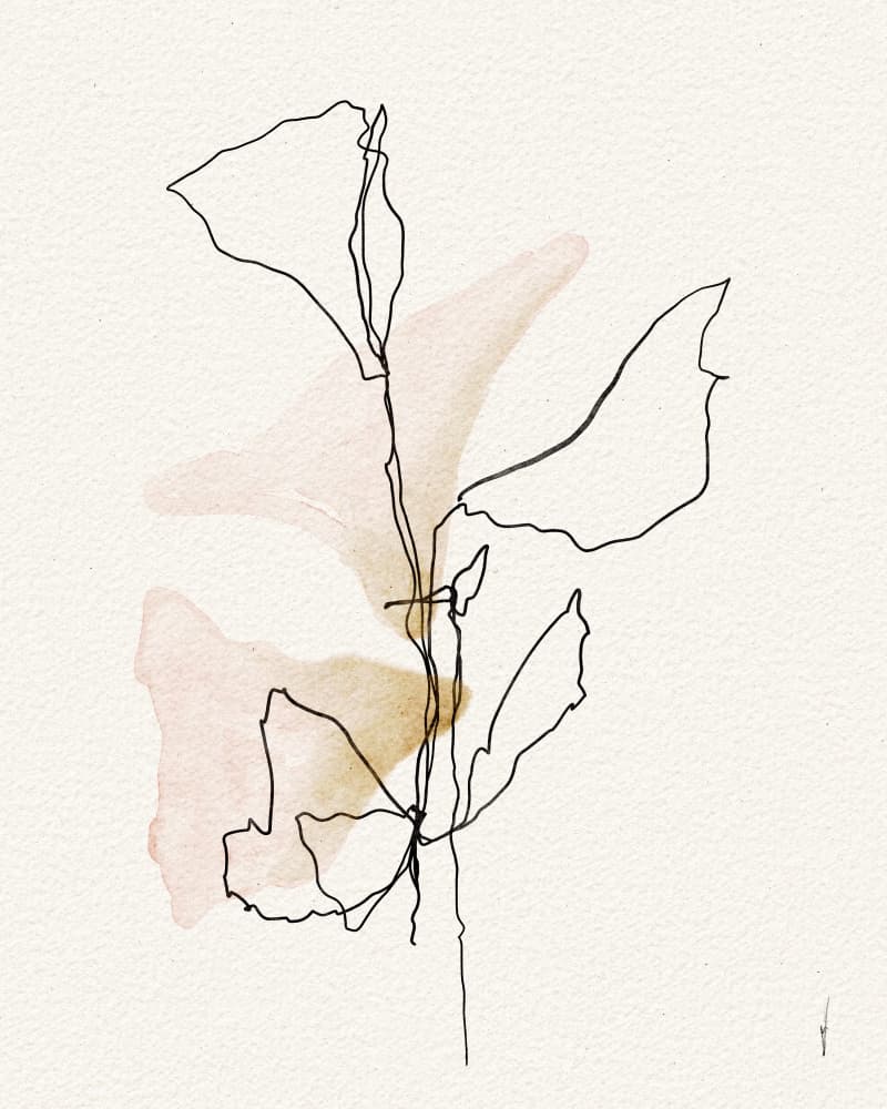 Soft Blush Botanicals by Ankie Kooi — canvas wall art