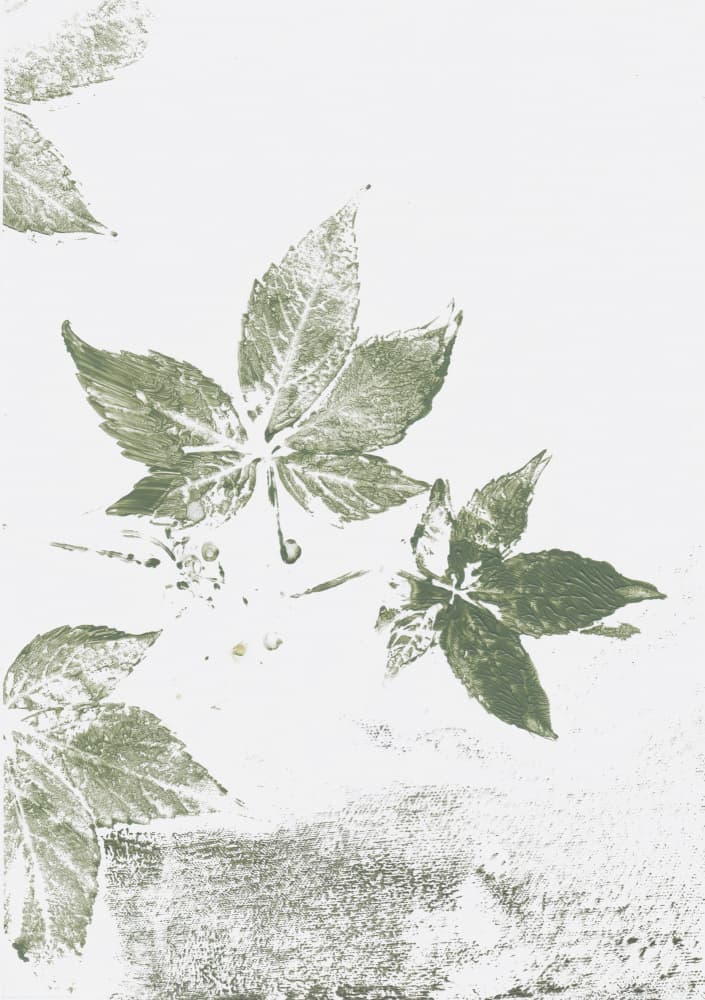 Green Leaf Impressions by Maira Ribena — canvas wall art