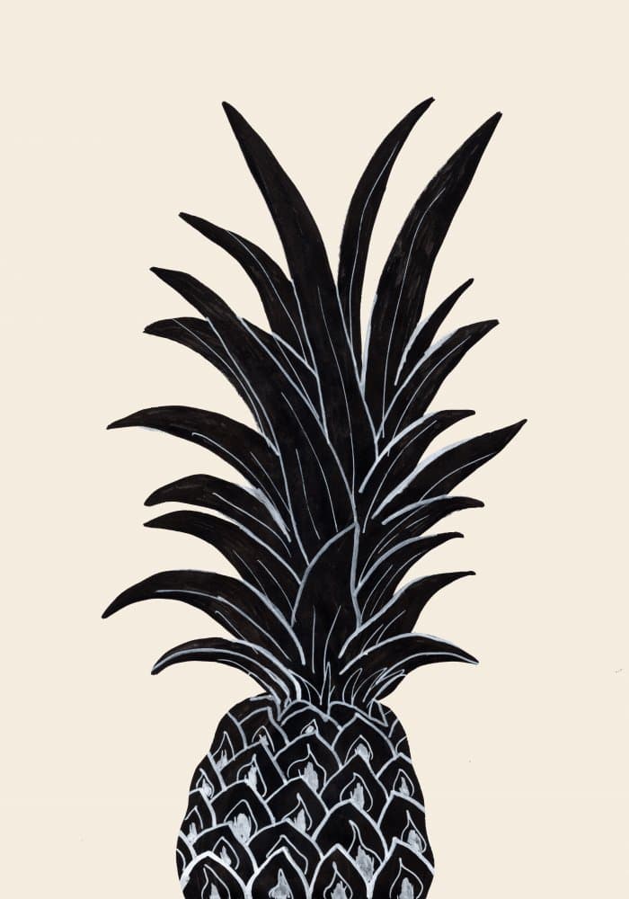 Minimalist Black Pineapple by Old Artists Studio — canvas wall art