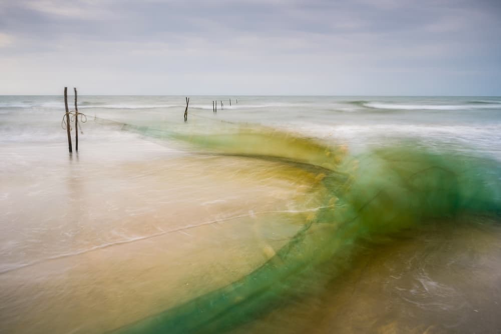 Coastal Green Flow by 陆风Landwind — canvas wall art