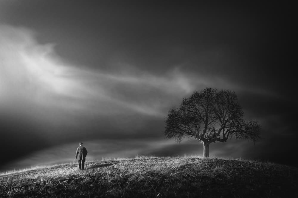 Man and Bare Tree by Yasemin Bakan — canvas wall art