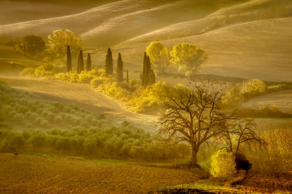 Misty Tuscan Morning by Piet Haaksma — canvas wall art