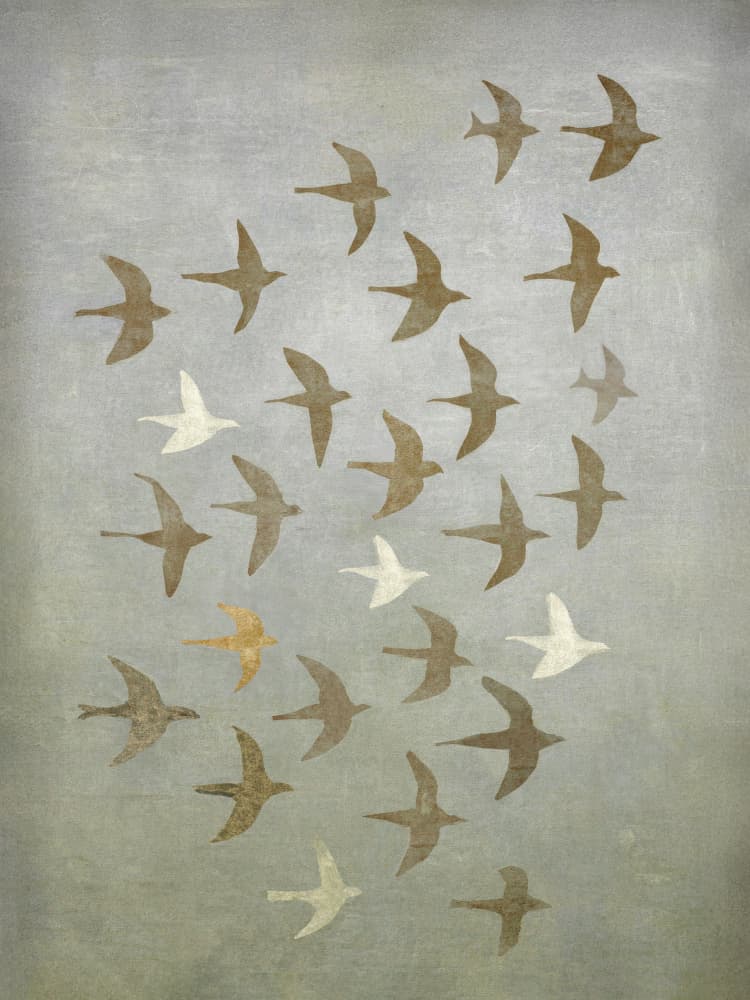 Swallows in Flight by Kathrin Pienaar — canvas wall art