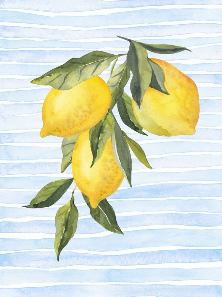 Sunny Citrus On Blue by Jolly and Dash — canvas wall art
