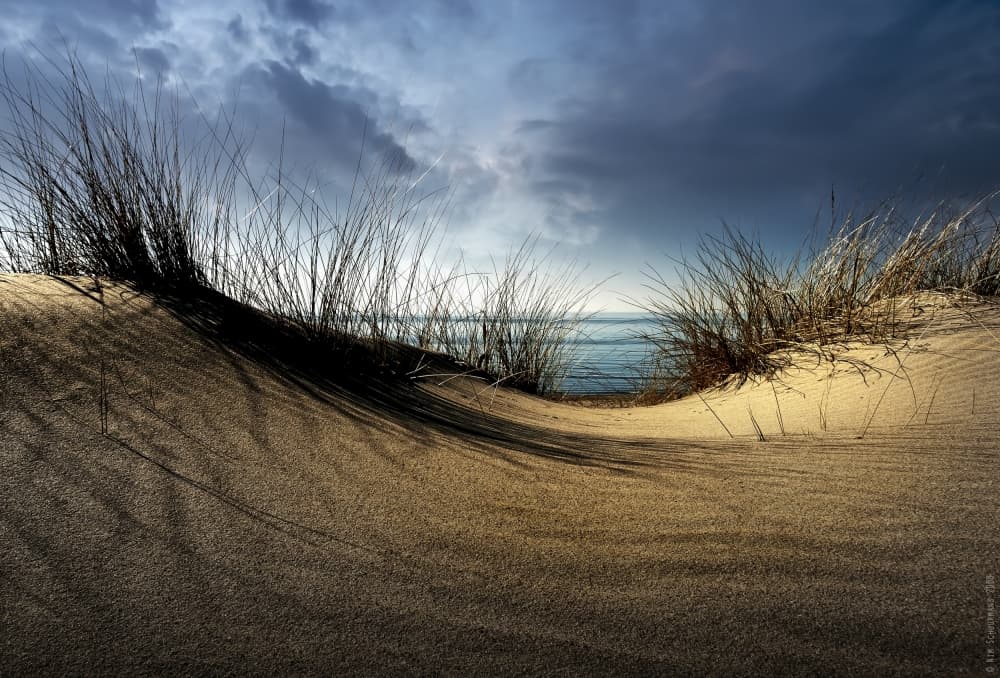 Sandy Dune Ocean View by Wim Schuurmans — canvas wall art