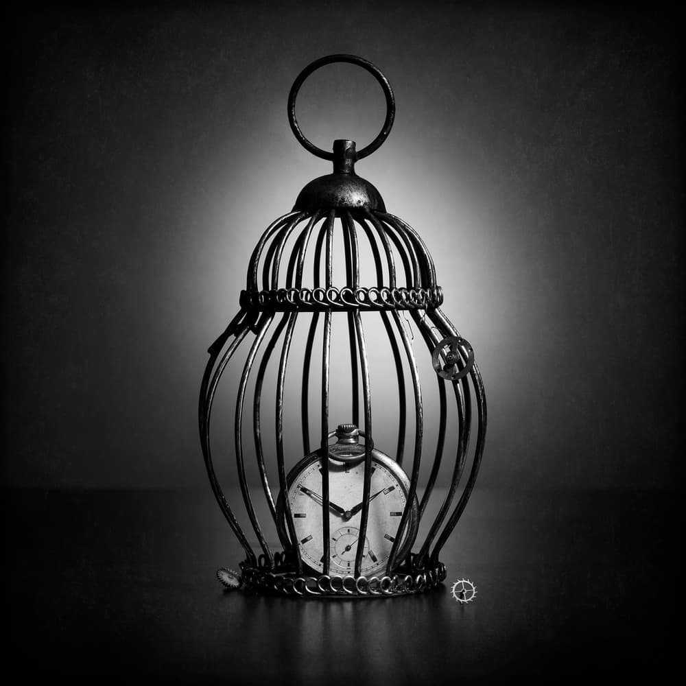 Time In Cage by Victoria  Glinka — canvas wall art