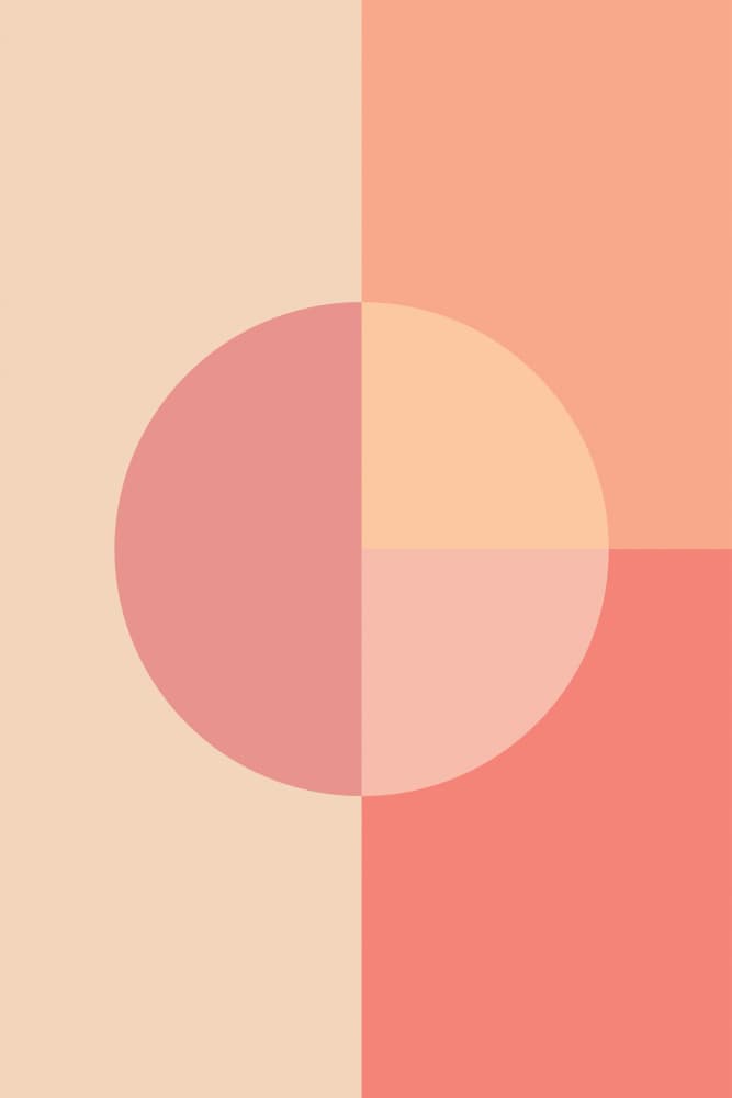 Soft Blush Circle by Old Artists Studio — canvas wall art