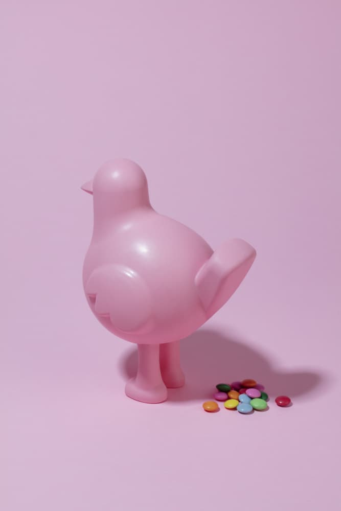 Pink Bird Sweet Treats by Julia Ramiro — canvas wall art