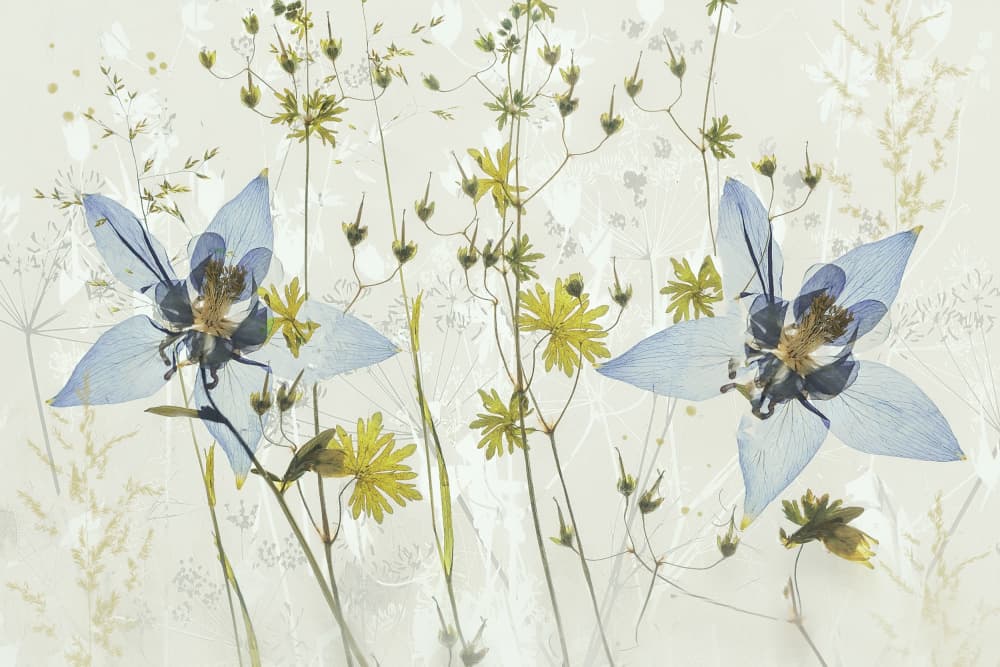 Just the two of us by Nel Talen — canvas wall art
