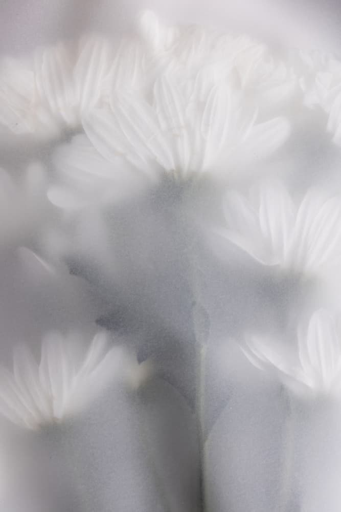 Blurred Flowers 6 by Mareike Böhmer — canvas wall art