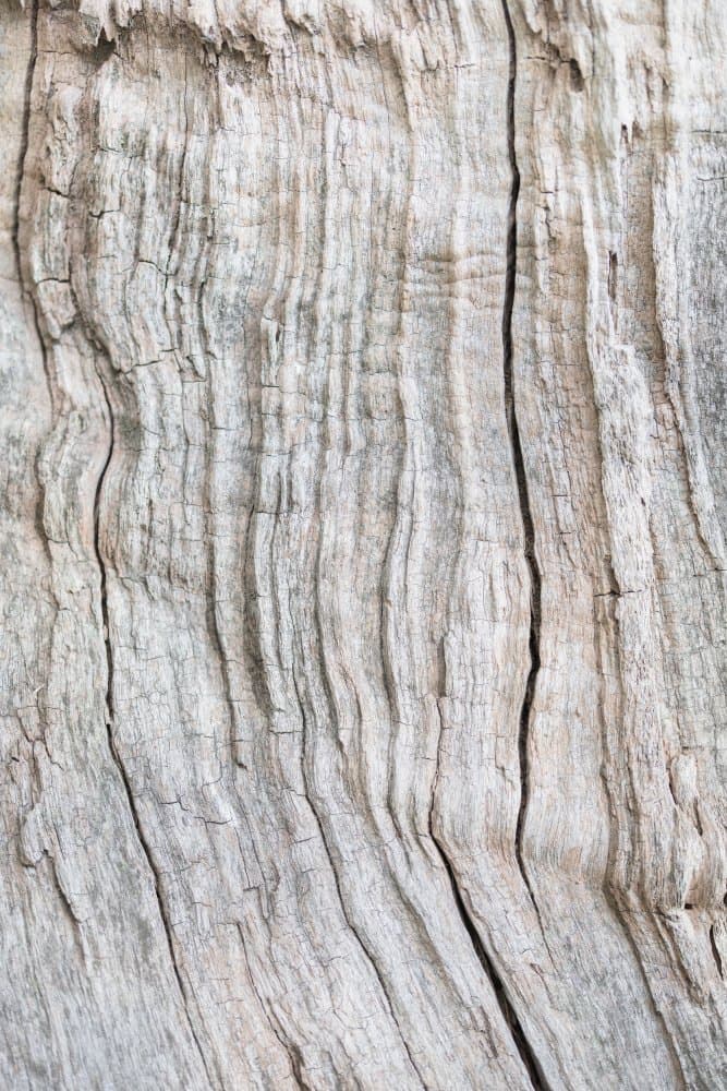 Weathered Wood Grain by Old Artists Studio III — canvas wall art