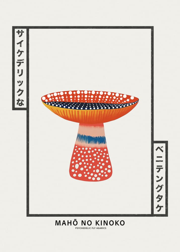Psychedelic Fly Agaric by Old Artists Studio IV — canvas wall art