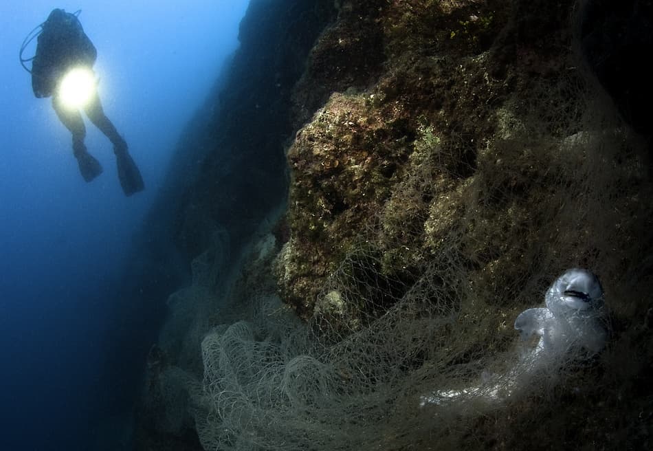 Trapped Marine Life Ghostnet by Csaba Tokolyi — canvas wall art