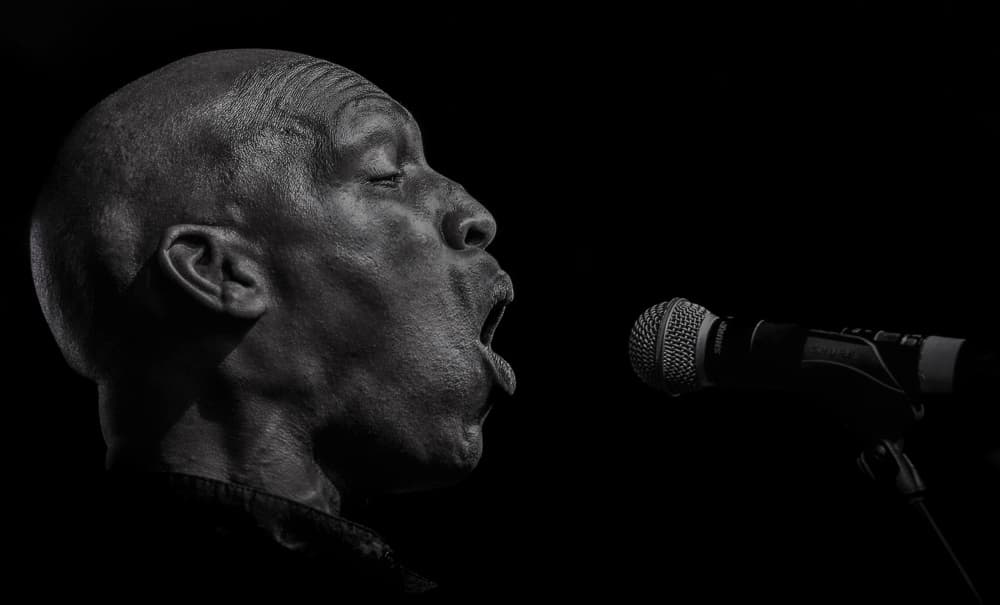 Soulful Vocal Performance by Dragoslav Nedici — canvas wall art