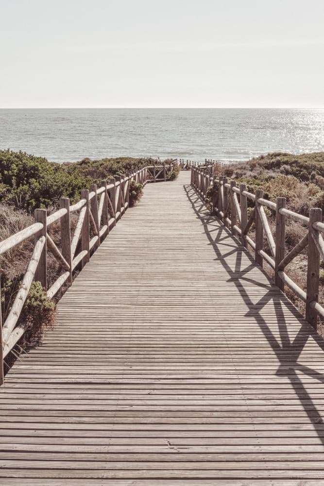 Coastal Boardwalk Path by Old Artists Studio III — canvas wall art