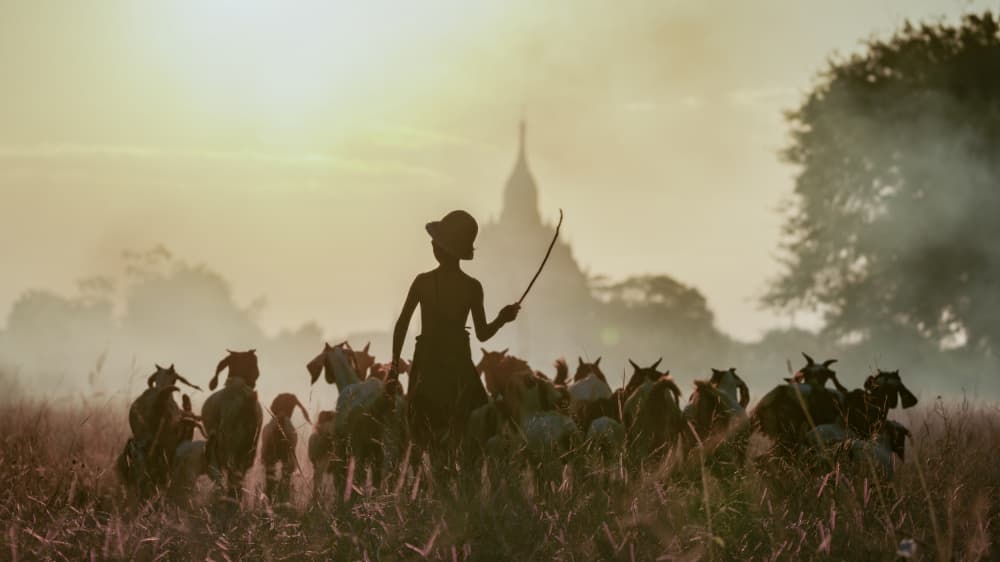 Bagan Sunrise Herder by Chan Kim — canvas wall art