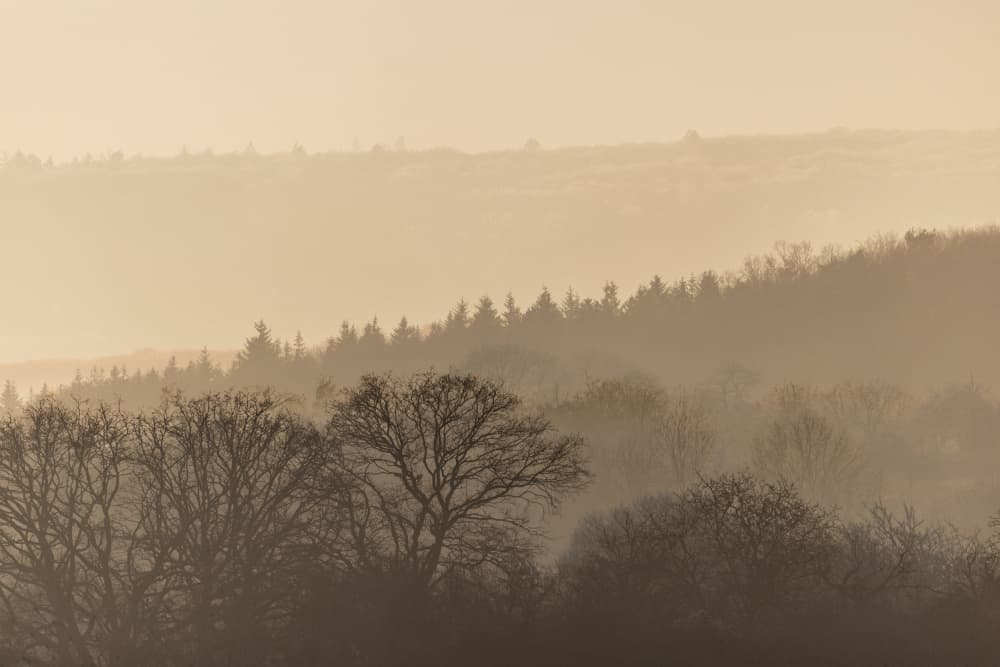 Fading Horizons 6 by Mareike Böhmer — canvas wall art