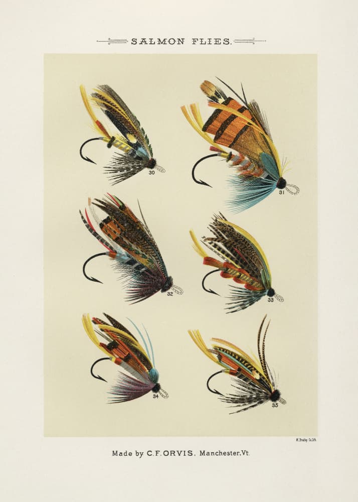 Salmon Fliee 1892 by Mary Orvis Marbury — canvas wall art