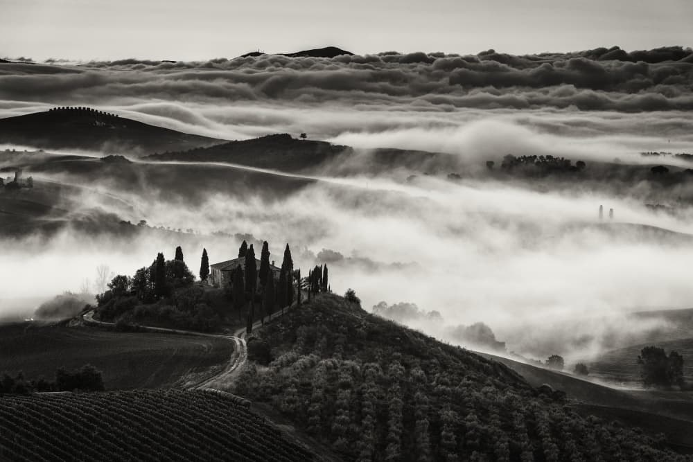 Misty Tuscan Morning by Nina Pauli — canvas wall art