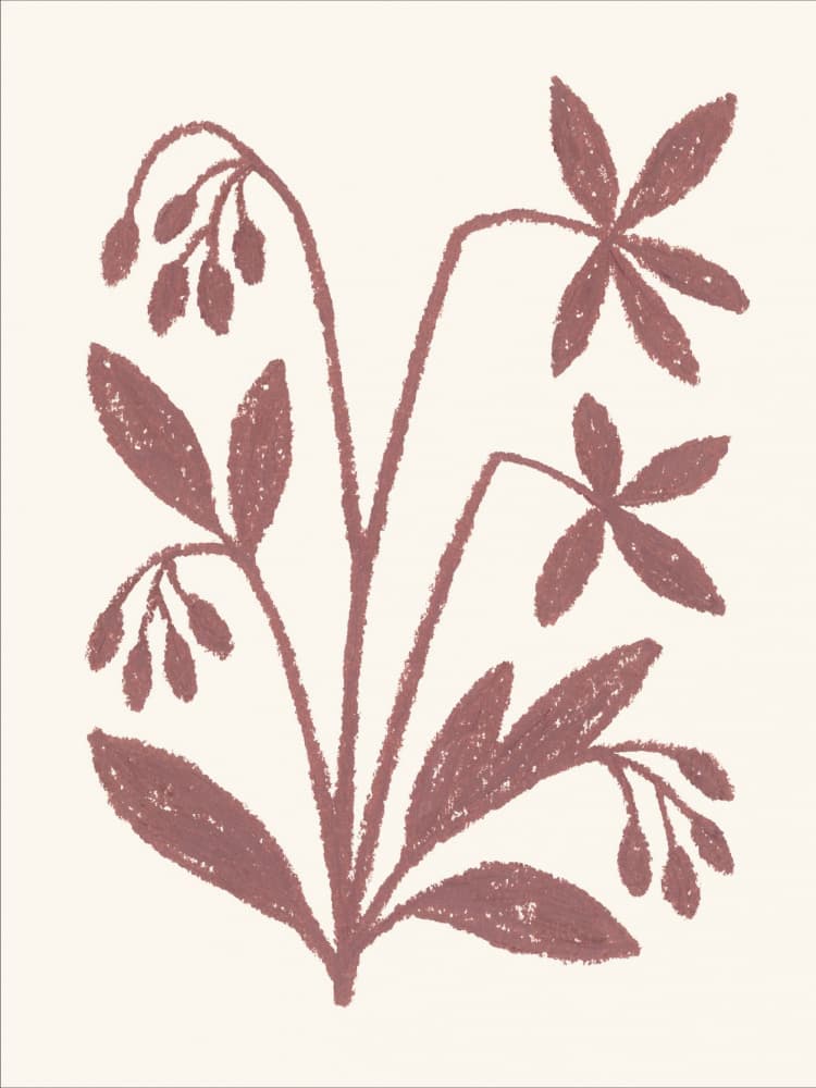 Botanical Berry Branch by Silvia Visscher — canvas wall art