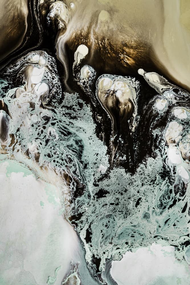 Earthly Motion  2upscaled Cgi 13287w by Petra Meikle de Vlas — canvas wall art
