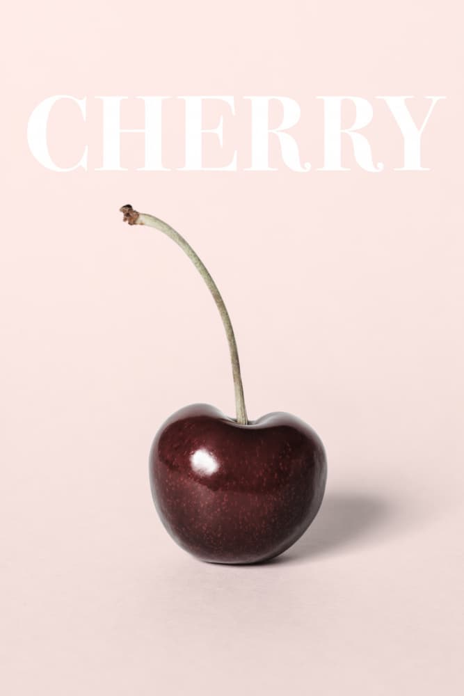 Cherry On Pink by Old Artists Studio III — canvas wall art