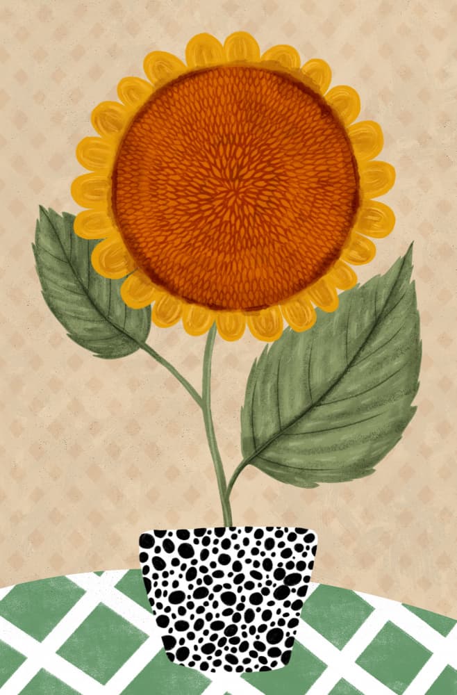 Dalmatian Pot Sunflower by EMELIEmaria — canvas wall art