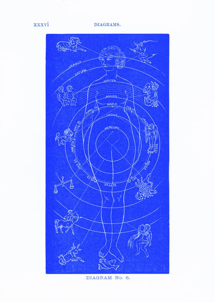 Solar Biology No. 6  blue (creative ed.) by Hiram Eratus Butler — canvas wall art