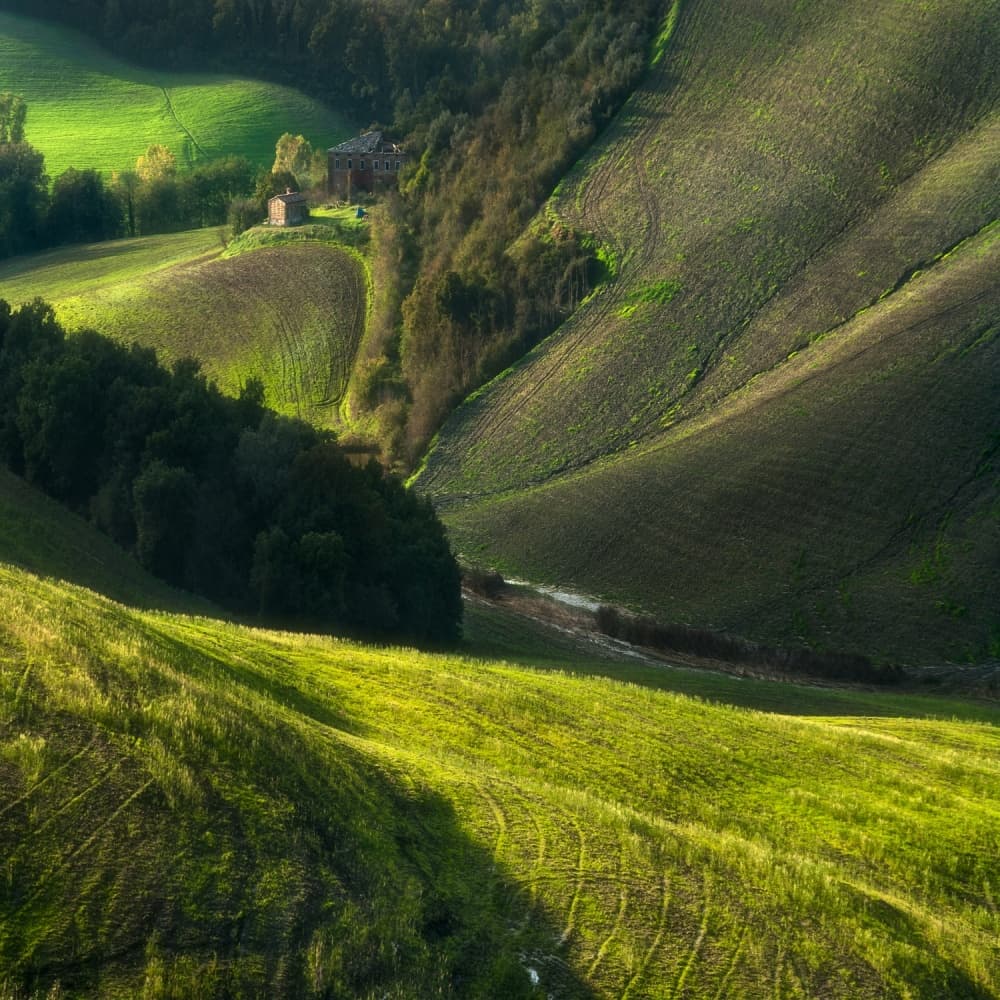 Sunlit Green Valley by Jarek Pawlak — canvas wall art