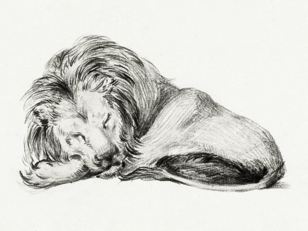 Lying Lion by Jean Bernard — canvas wall art