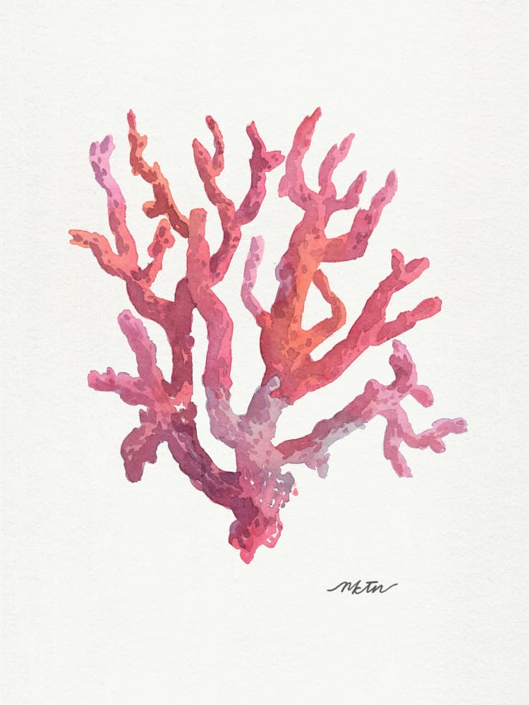 Pink Coral Watercolor by NKTN — canvas wall art
