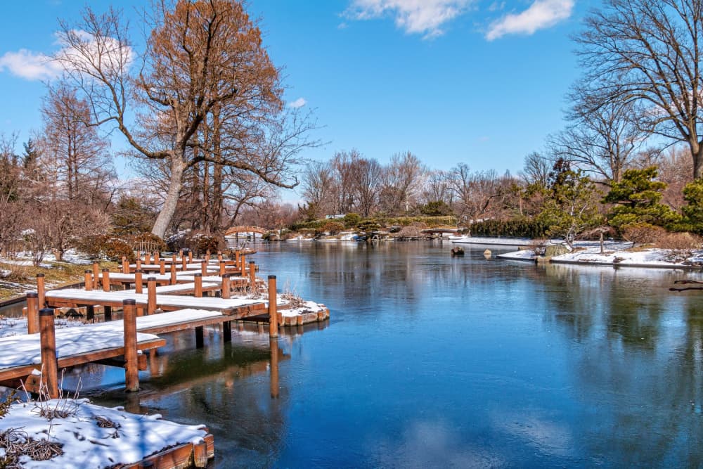 Winter Garden Pond by GuruShots — canvas wall art
