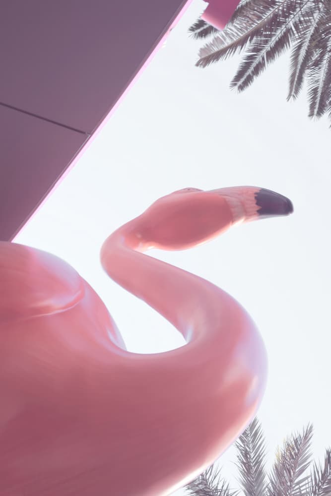 Sunny Pink Flamingo by Old Artists Studio III — canvas wall art