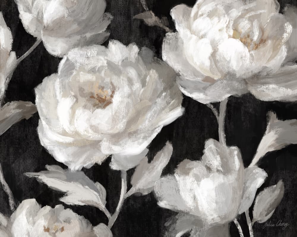 White Peonies On Black Julia Cheney by Julia Cheney — canvas wall art