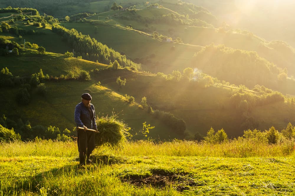 Farmer in Golden Hills by Vlad Dumitrescu — canvas wall art